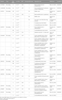 Non-coding and intergenic genetic variants of human arylamine N-acetyltransferase 2 (NAT2) gene are associated with differential plasma lipid and cholesterol levels and cardiometabolic disorders